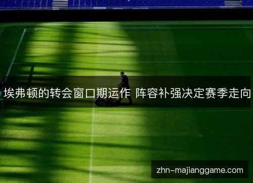 埃弗顿的转会窗口期运作 阵容补强决定赛季走向 埃弗顿的转会窗口期运作 阵容补强决定赛季走向